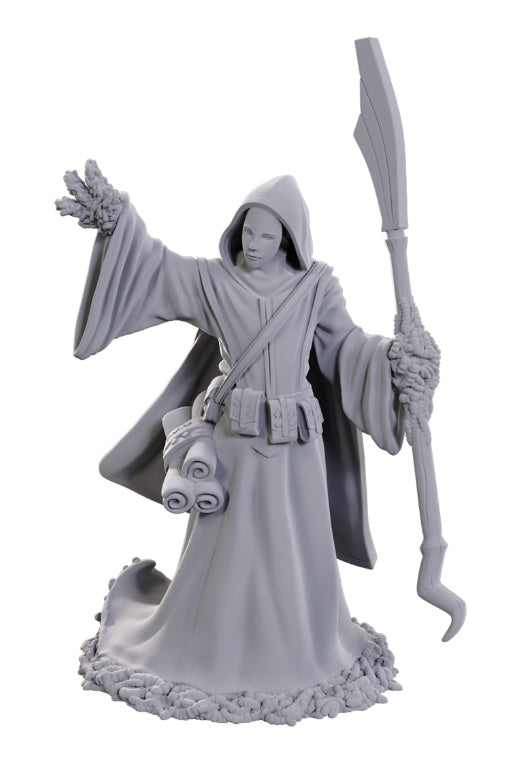 Dungeons & Dragons: Nolzur's Marvelous Unpainted Miniatures - W25 Star Spawn Larva Mage
