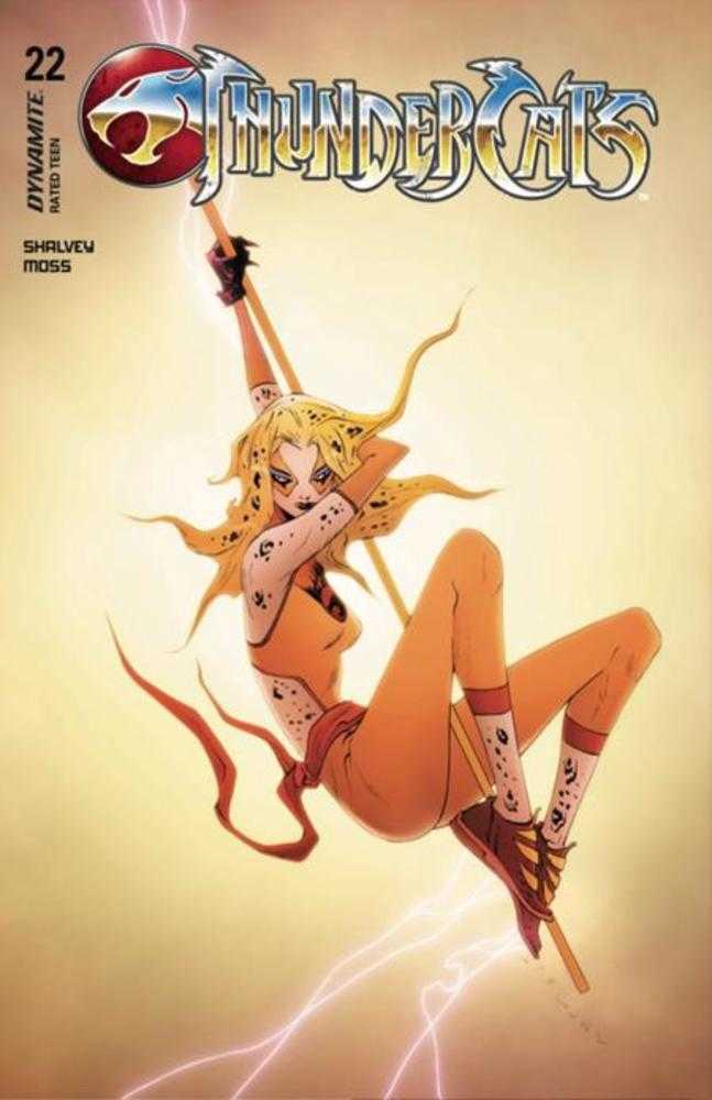 Thundercats #22 Cover C Jae Lee Variant