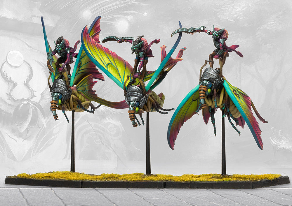 Conquest: Weaver Courts: One Player Starter