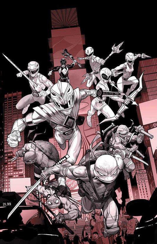 Power Rangers Teenage Mutant Ninja Turtles Black & White Hardcover